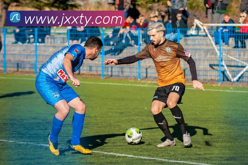 多媒体互动体验